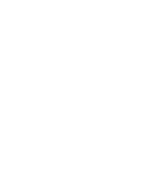Master Builders