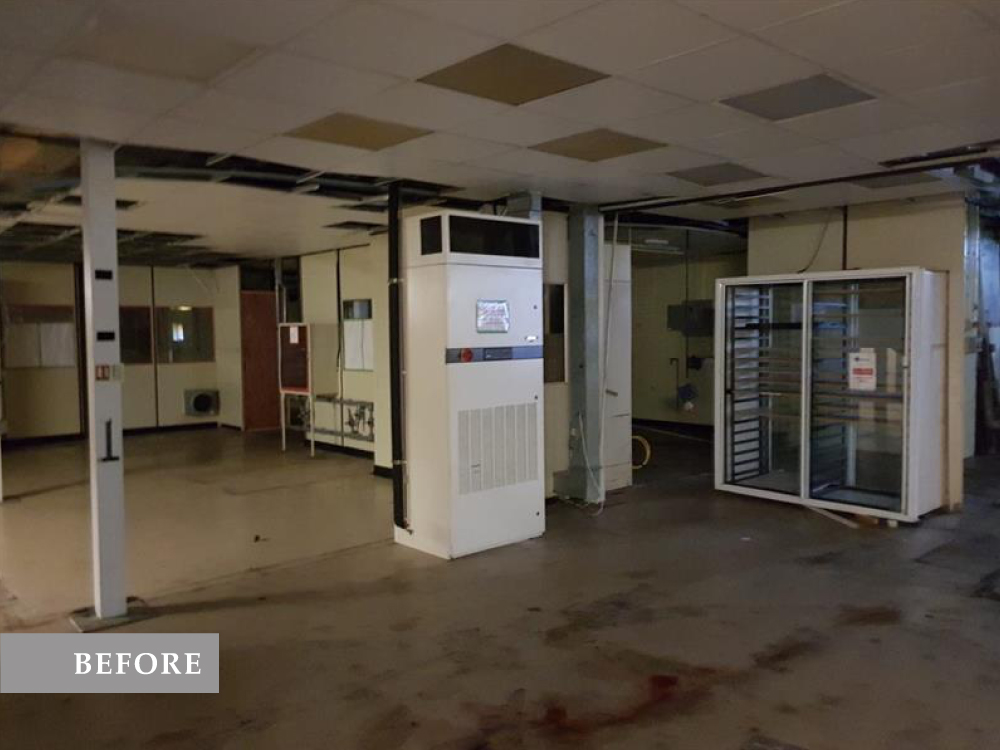 Manufacturing facility after renovation